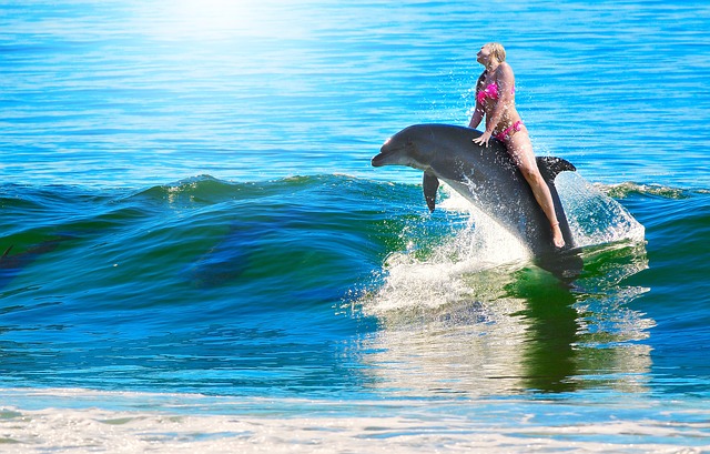 Frau sitzt auf einem Delfin